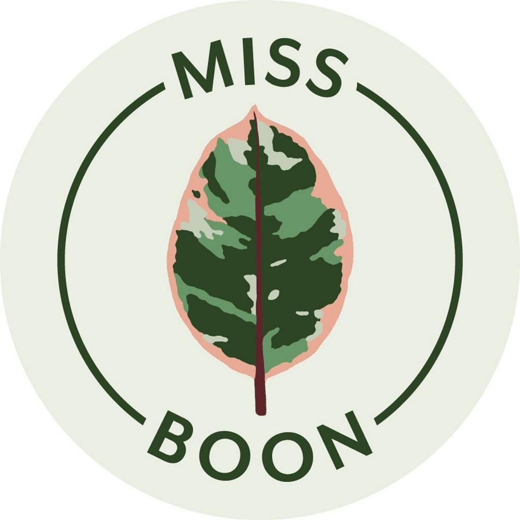 miss boon