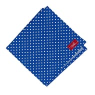 blue spotted handkerchief