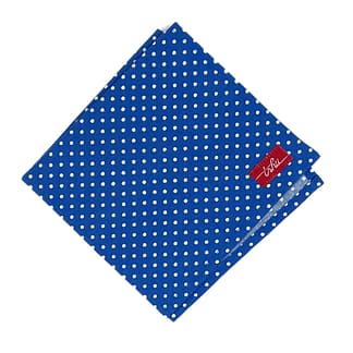 blue spotted handkerchief